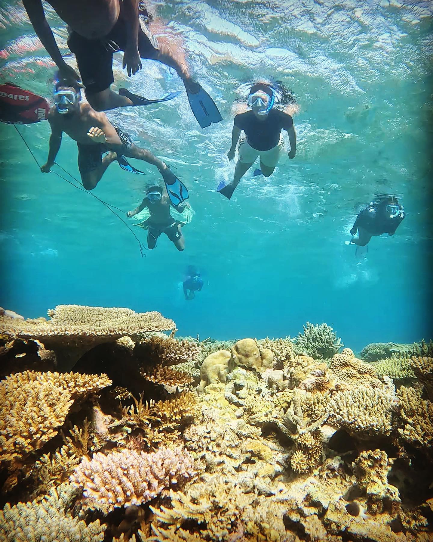 Excursion sur le lagon de Mayotte avec Randopalma