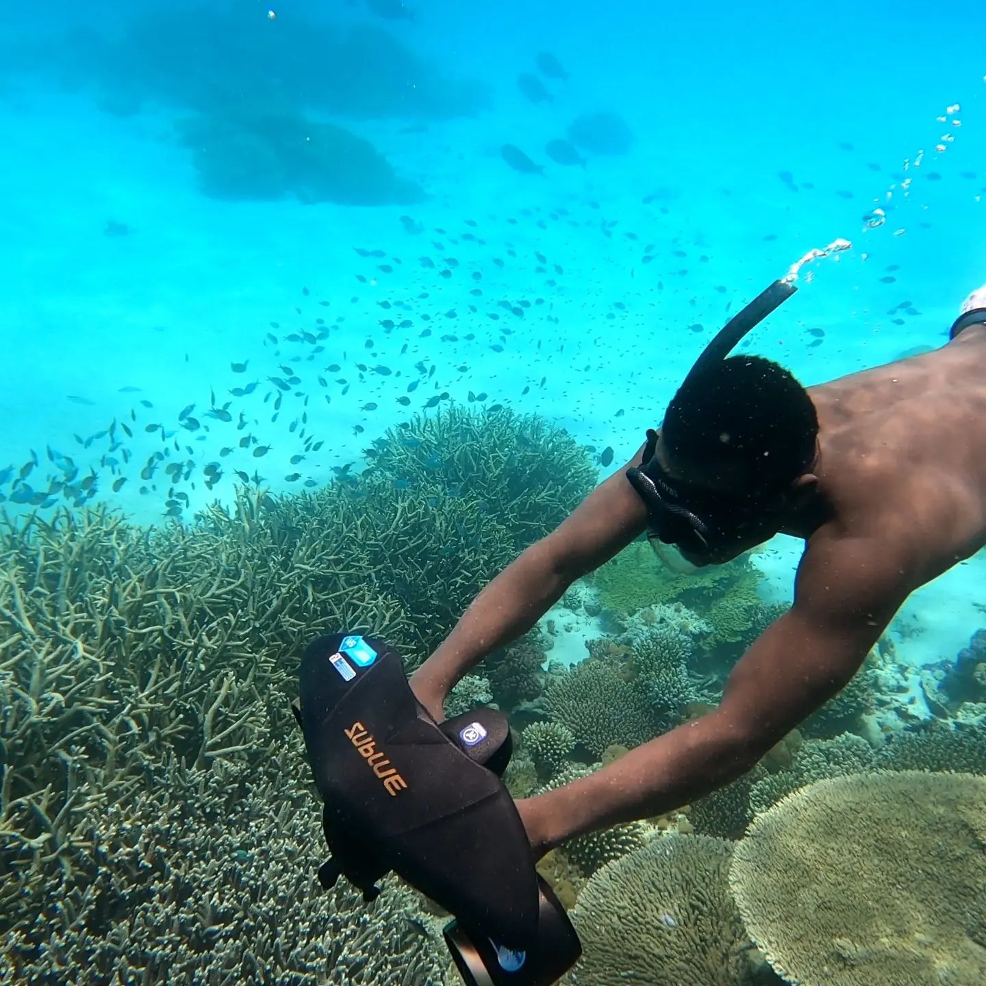 Excursion sur le lagon de Mayotte avec Randopalma